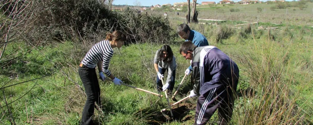 dia-de-reforestacion